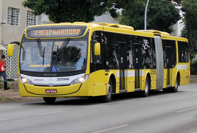 Bus 004 x 800.jpg