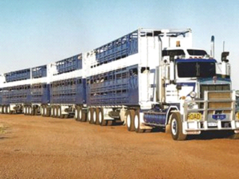 Truck 800 x 600 001.png